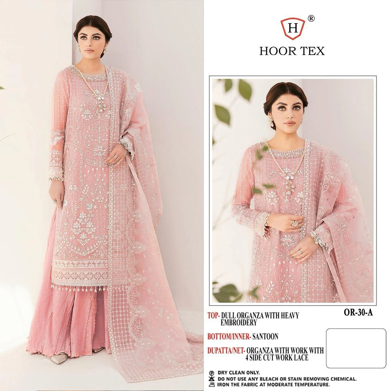 Hoor Tex Or-30,A To D Heavy Organza Wholesale Pakistani Salwar Suit Catalog — Wholesale Pakistani Suits, MPA wholesale from Surat - Gallery Image 9